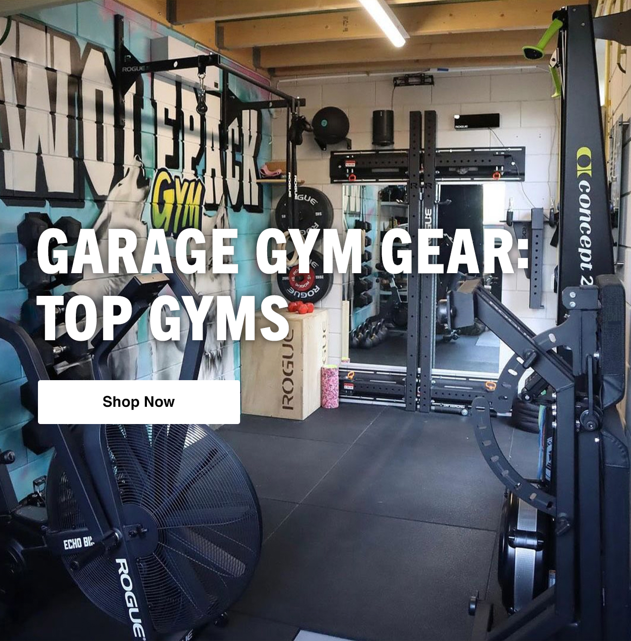 Rogue gym gear outlet